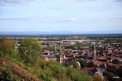 De Rosheim vers Obernai - Rosheim - Photo 9