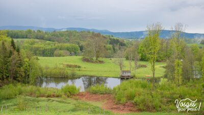 Mille Étangs - Esmoulières - Esmoulières - Photo 4