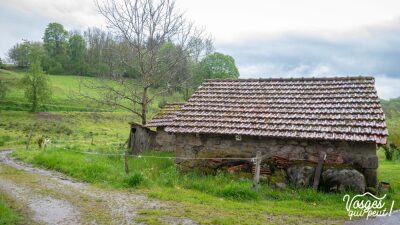 Mille Étangs - Esmoulières - Esmoulières - Photo 6