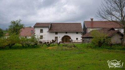 Mille Étangs - Esmoulières - Esmoulières - Photo 5