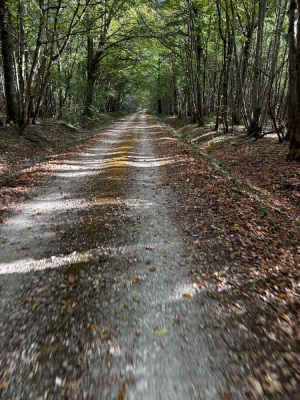 Gravel 100 k 50% Gravel / 50 % route - Dijon - Photo 1