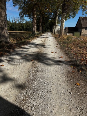 Gravel 100 k 50% Gravel / 50 % route - Dijon - Photo 3
