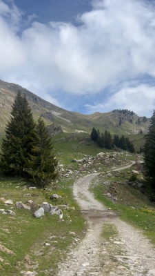 Chablais 1/2 : Sommand - Bonnavaz - Mieussy - Photo 2